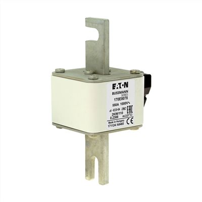 170E8078§1000 Vac，550A 快速保險絲