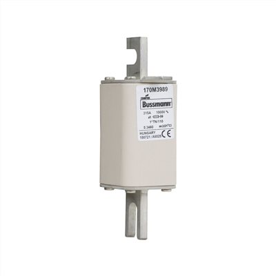 170M3989§315A, 1000 Vac(IEC),高速保險絲