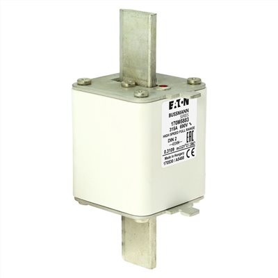 170M5883§315A, 690 Vac (IEC),高速保險絲