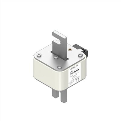 170M6278§350A, 2500 Vac(IEC),高速保險絲